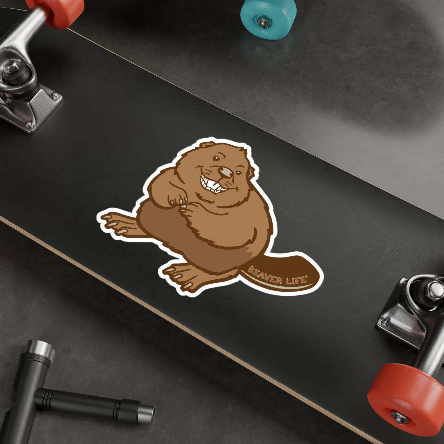 Kiss-Cut Vinyl Decals